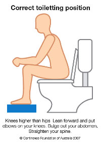https://www.whria.com.au//wp-content/uploads/2015/02/correct-toilet-position.jpg