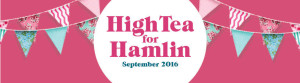 hamlin-gofundraise-banner